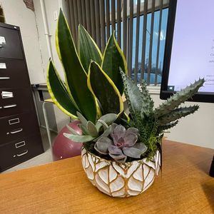 Meet your Posher, Angela